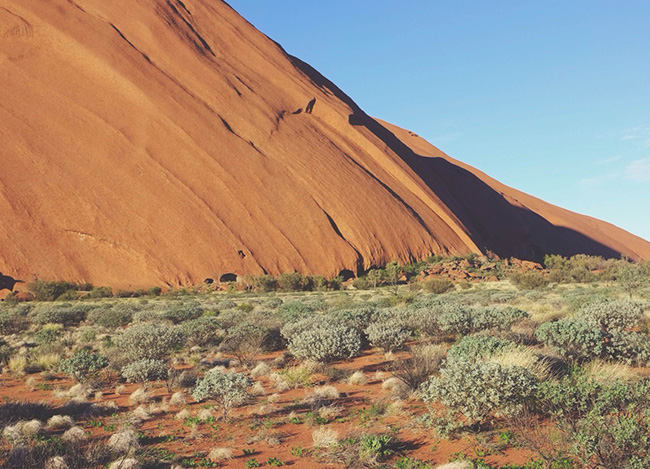 免费呼叫轰炸神器网页版